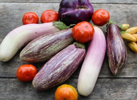 Овощ, который помогает похудеть: Юлия Панкова – о полезных свойствах баклажана